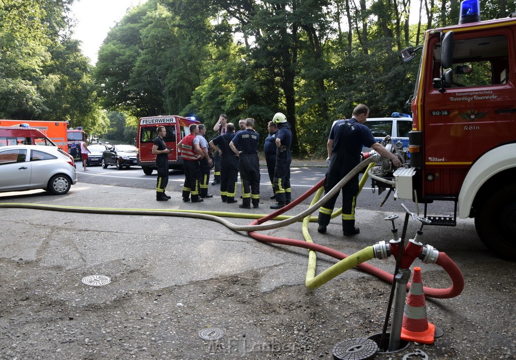 Waldbrand Koeln Hoehenhaus Hoehenfelder Mauspfad P022.JPG - Miklos Laubert